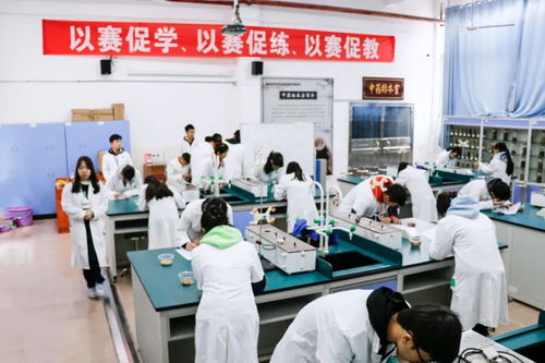 多图预警 | 2020高新医药技能赛 他们努力的样子，也太帅了——新能源技术研发绽放青春光芒